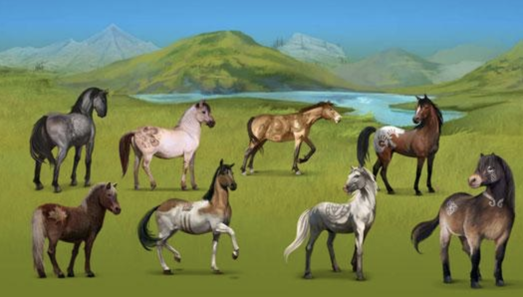 These are all horses.